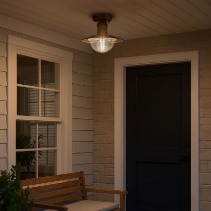 Brilagi - Āra griestu gaismeklis MOLDE 1xE27/60W IP44 bronza/patina