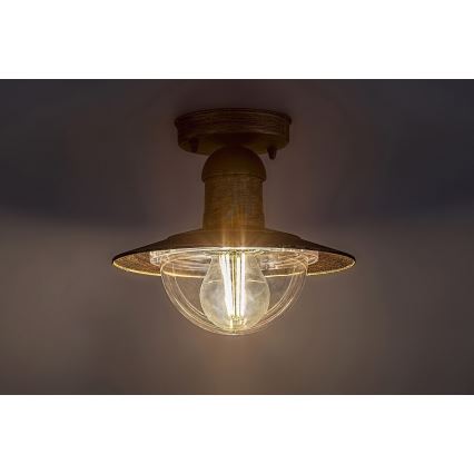 Brilagi - Āra griestu gaismeklis MOLDE 1xE27/60W IP44 bronza/patina