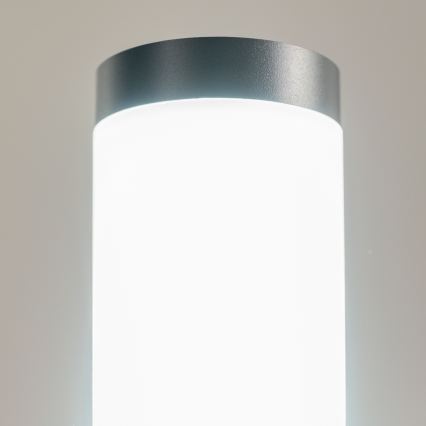 BRILAGI - Āra lampa ELIA 1xE27/20W/230V IP44 100 cm antracīta krāsa