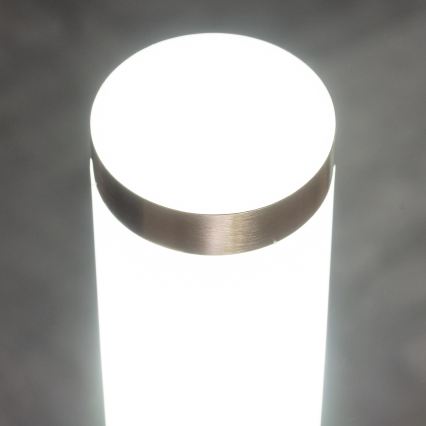 BRILAGI - Āra lampa ELIA 1xE27/20W/230V IP44 100 cm matēts hroms