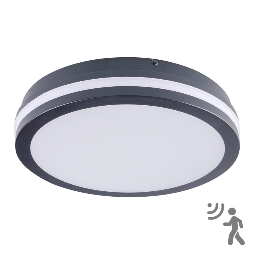 Brilagi - LED āra gaismeklis ar sensoru BENE LED/24W/230V pr. 26 cm antracīts IP54
