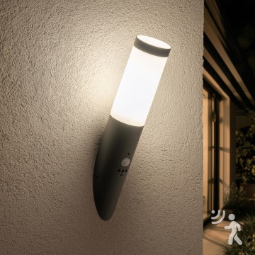 BRILAGI - Āra sienas lampa ar kustības sensoru ELIA 1xE27/20W/230V IP44 antracīts