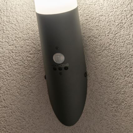 BRILAGI - Āra sienas lampa ar kustības sensoru ELIA 1xE27/20W/230V IP44 antracīts
