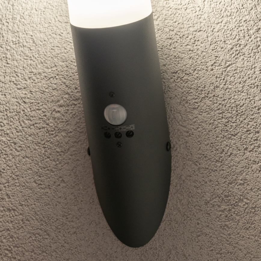 BRILAGI - Āra sienas lampa ar kustības sensoru ELIA 1xE27/20W/230V IP44 antracīts