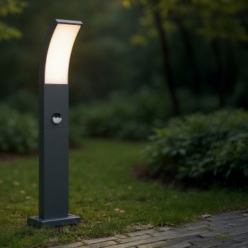 Brilagi - ARCELO LED āra lampa ar sensoru LED/9W/230V 50 cm IP44
