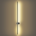 Brilagi - AURA LED āra sienas gaismeklis LED/20W/230V 3000K IP54 97 cm antracīts CRI 90