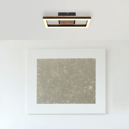 Brilagi - AXIS LED griestu gaismeklis LED/12W/230V