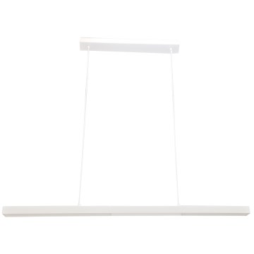 Brilagi - AXIS LED karājoša lampa uz troses LED/30W/230V balta