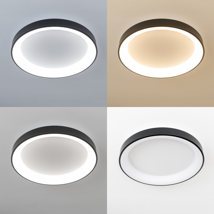 Brilagi - LED dimmējama griestu lampa FALCON II LED/99W/230V 3000-6500K Ø 60 cm melna + tālvadības pults