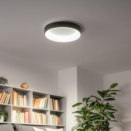 Brilagi - Regulējams LED griestu gaismeklis FALCON LED/40W/230V 3000-6500K Ø 45 cm melns + ar tālvadības pulti