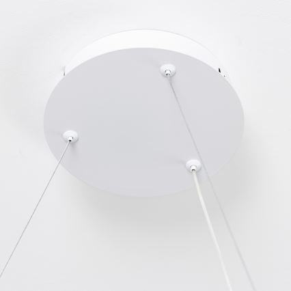 Brilagi - LED pakaramais gaismeklis ar regulējamu spilgtumu uz troses FALCON SLIM LED/42W/230V 3000-6500K Ø 50 cm balts + tālvadība