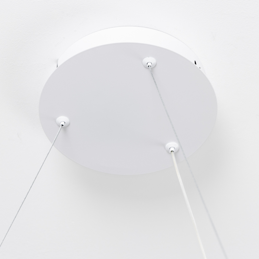 Brilagi - LED pakaramais gaismeklis ar regulējamu spilgtumu uz troses FALCON SLIM LED/42W/230V 3000-6500K Ø 50 cm balts + tālvadība