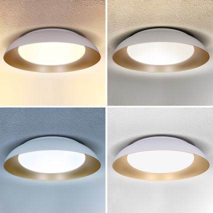 Brilagi - LED griestu lampa ALVA ar regulējamu spilgtumu LED/48W/230V 3000-6500K diametrs 51 cm balta + tālvadība