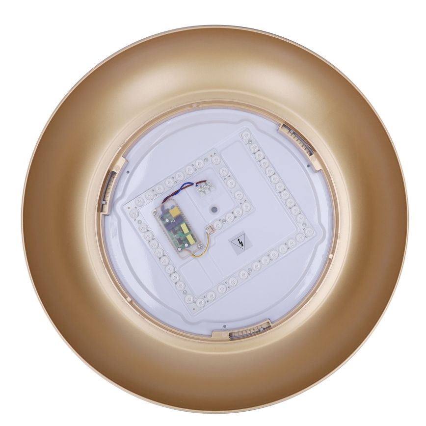 Brilagi - LED griestu lampa ALVA ar regulējamu spilgtumu LED/48W/230V 3000-6500K diametrs 51 cm balta + tālvadība