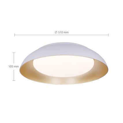 Brilagi - LED griestu lampa ALVA ar regulējamu spilgtumu LED/48W/230V 3000-6500K diametrs 51 cm balta + tālvadība