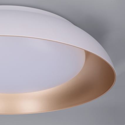 Brilagi - LED griestu lampa ALVA ar regulējamu spilgtumu LED/48W/230V 3000-6500K diametrs 51 cm balta + tālvadība