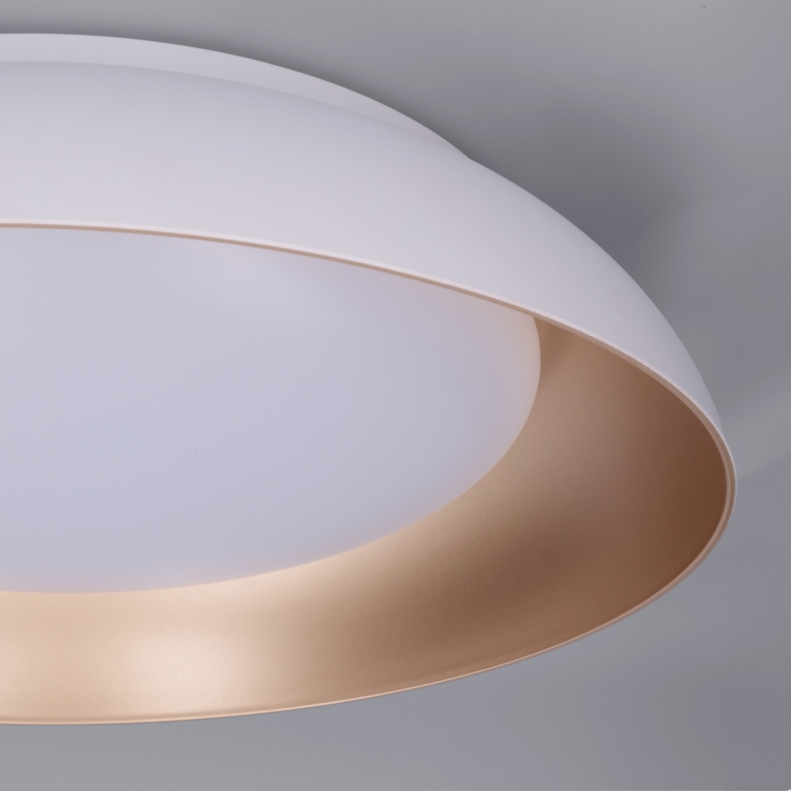 Brilagi - LED griestu lampa ALVA ar regulējamu spilgtumu LED/48W/230V 3000-6500K diametrs 51 cm balta + tālvadība