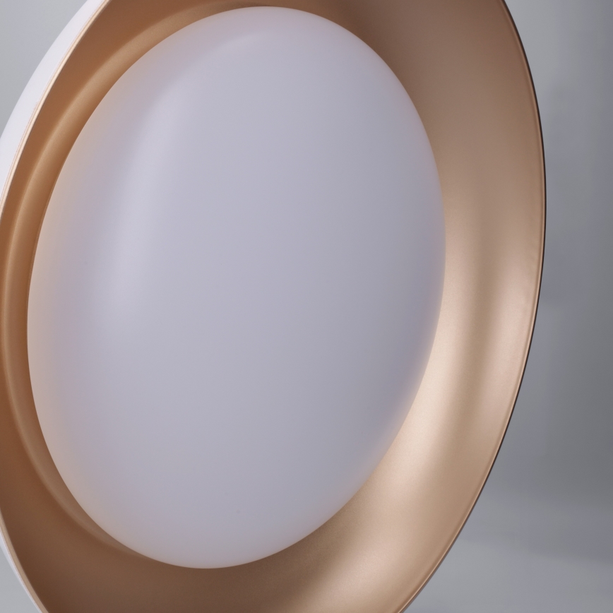 Brilagi - LED griestu lampa ALVA ar regulējamu spilgtumu LED/48W/230V 3000-6500K diametrs 51 cm balta + tālvadība