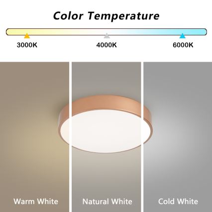 BRILAGI - Dimmējams POOL LED griestu gaismeklis LED/36W/230V 3000-6000K Ø 30 cm bronzas krāsā + tālvadības pults
