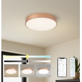 BRILAGI - dimējams LED griestu gaismeklis POOL SMART LED/48W/230V 3000-6000K Ø 40 cm Wi-Fi Tuya bronzas krāsā, ar tālvadības pulti