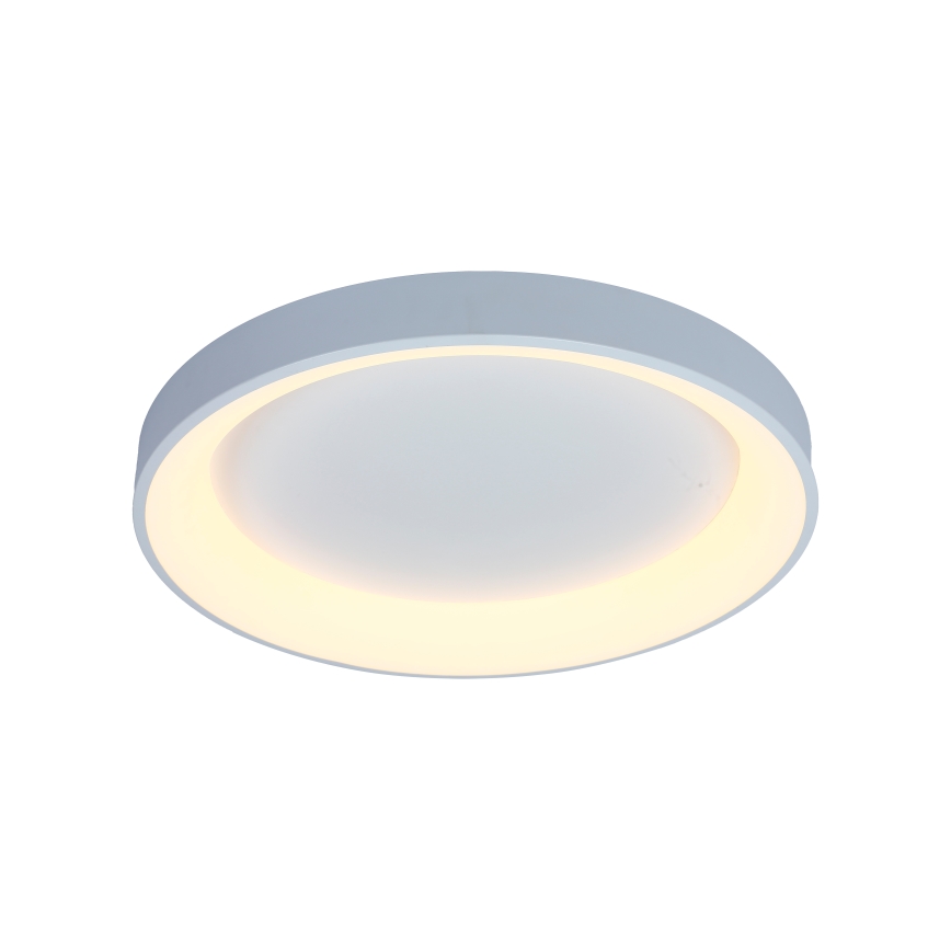 Brilagi - LED ar regulējamu spilgtumu griestu gaismeklis FALCON II LED/99W/230V 3000-6500K Ø 60 cm balts + tālvadība