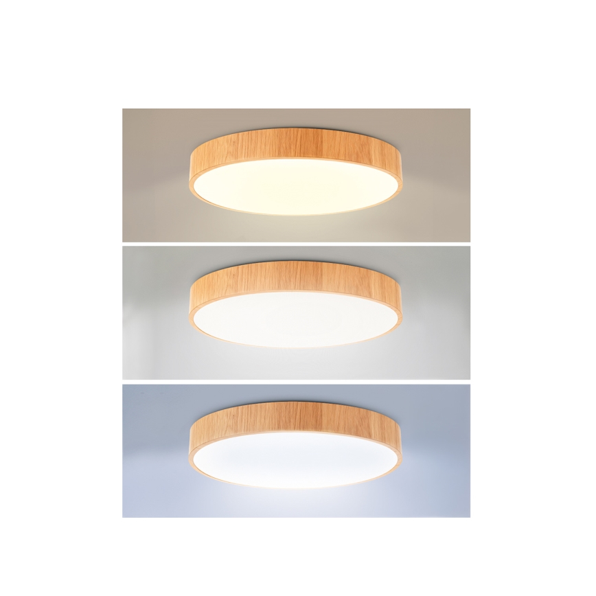 Brilagi - LED aptumšojama griestu lampa POOL LED/50W/230V 3000-6000K Ø 40 cm koka dekors + tālvadības pults