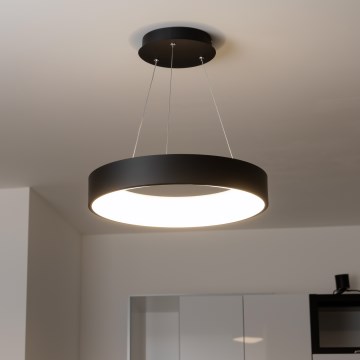 Brilagi - dimmējama LED lustra uz troses FALCON LED/40W/230V 3000-6500K Ø 45 cm melna + tālvadības pults