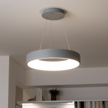 Brilagi - Dimmējama LED lustra uz troses FALCON LED/40W/230V 3000-6500K Ø 45 cm pelēka + ar tālvadības pulti