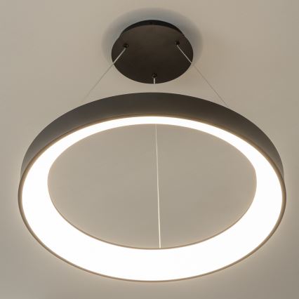 BRILAGI - LED dimmējama pakaramā lampa uz troses FALCON II LED/99W/230V 3000-6500K Ø 60 cm melna + ar tālvadības pulti