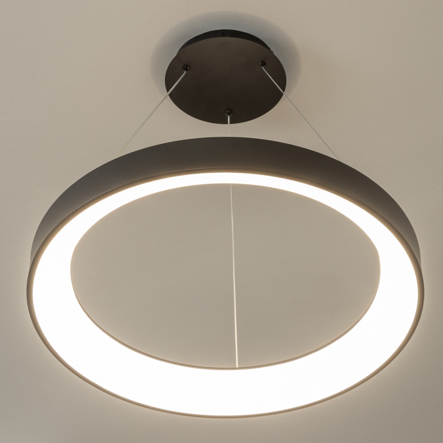 BRILAGI - LED dimmējama pakaramā lampa uz troses FALCON II LED/99W/230V 3000-6500K Ø 60 cm melna + ar tālvadības pulti