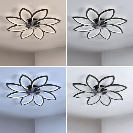 Brilagi - LED stropa ventilators ar regulējamu apgaismojumu, LED/43W/230V 3000-6500K Ø 90 cm melns + tālvadības pults