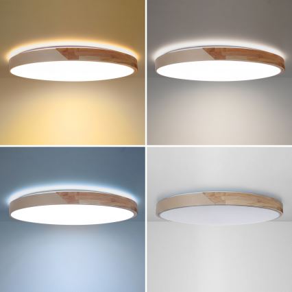 BRILAGI - Regulējama LED griestu lampa PILANA LED/72W/230V 3000-6500K ozols/bēša diametrs 80 cm + tālvadības pults