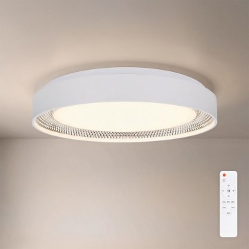 Brilagi - Dimmējams griestu gaismeklis WALDO LED/48W/230V 3000-6500K Ø 40 cm balts/sudrabs + ar tālvadības pulti