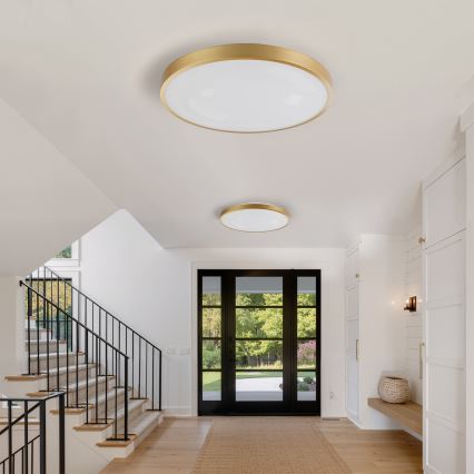 Brilagi - LED dimmējams griestu gaismeklis GLASS POOL DOUBLE LED/80W/230V 3000-6000K 60 cm zelta krāsā + tālvadības pults