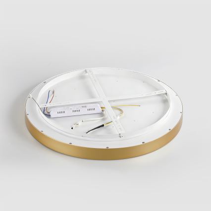 Brilagi - LED dimmējams griestu gaismeklis GLASS POOL DOUBLE LED/80W/230V 3000-6000K 60 cm zelta krāsā + tālvadības pults