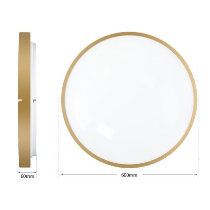 Brilagi - LED dimmējams griestu gaismeklis GLASS POOL DOUBLE LED/80W/230V 3000-6000K 60 cm zelta krāsā + tālvadības pults