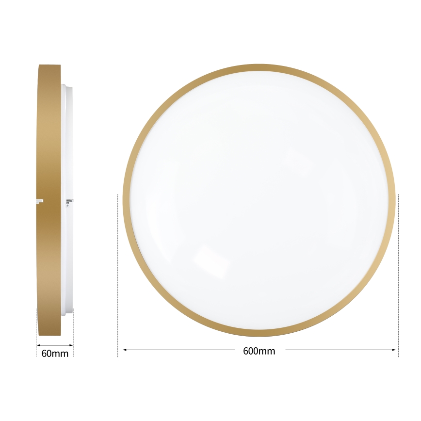 Brilagi - LED dimmējams griestu gaismeklis GLASS POOL DOUBLE LED/80W/230V 3000-6000K 60 cm zelta krāsā + tālvadības pults