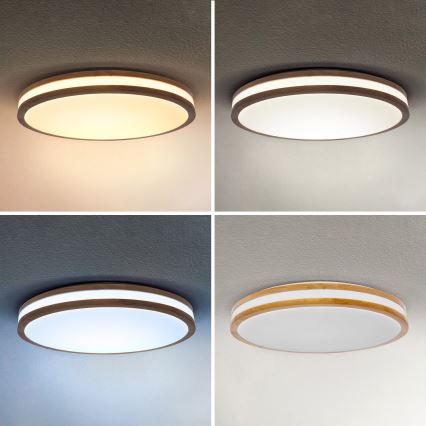 Brilagi - LED dimmējama griestu lampa MOLINA LED/60W/230V 3000-6500K ozola, diam. 58 cm + tālvadības pults