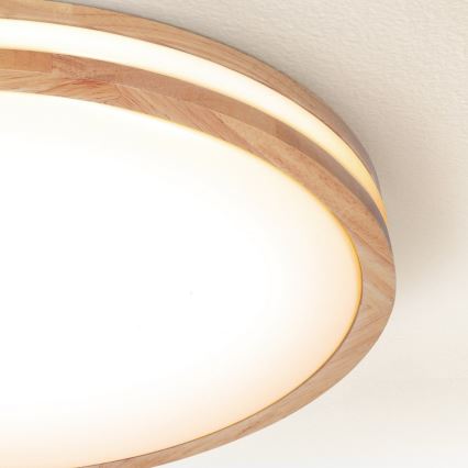 Brilagi - LED dimmējama griestu lampa MOLINA LED/60W/230V 3000-6500K ozola, diam. 58 cm + tālvadības pults