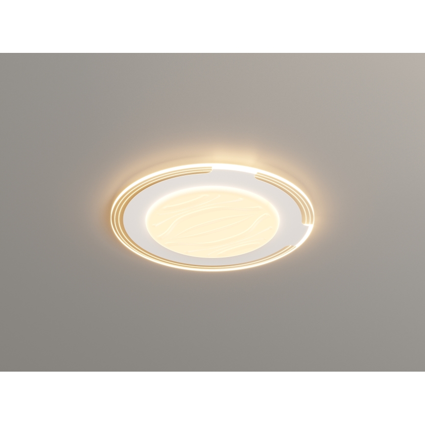 Brilagi - LED regulējama griestu lampa ORELIS LED/80W/230V 3000-6000K Ø 50 cm + ar tālvadības pulti