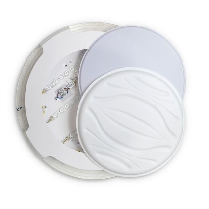 Brilagi - LED regulējama griestu lampa ORELIS LED/80W/230V 3000-6000K Ø 50 cm + ar tālvadības pulti