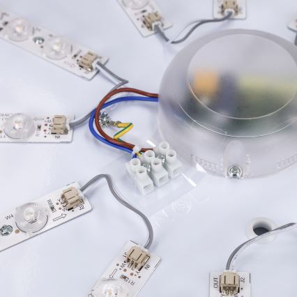 Brilagi - LED regulējams griestu gaismeklis PILANA LED/72W/230V 3000-6500K ozols/melns Ø 80 cm + tālvadības pults