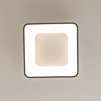 Brilagi - LED griestu lampa ar regulējamu spilgtumu FALCON II LED/80W/230V 3000-6500K 40x40 cm melna + tālvadības pults