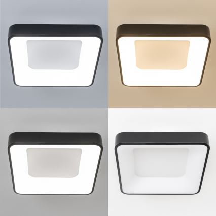 Brilagi - LED griestu lampa ar regulējamu spilgtumu FALCON II LED/80W/230V 3000-6500K 40x40 cm melna + tālvadības pults