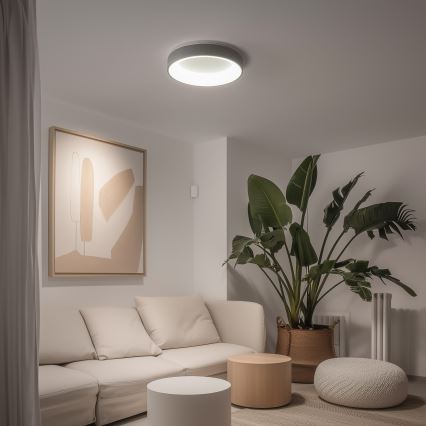 Brilagi - LED aptumšojams griestu gaismeklis FALCON LED/40W/230V 3000-6500K Ø45 cm pelēks + tālvadības pults