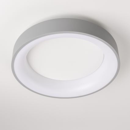 Brilagi - LED aptumšojams griestu gaismeklis FALCON LED/40W/230V 3000-6500K Ø45 cm pelēks + tālvadības pults