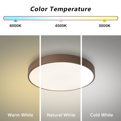 Brilagi - LED aptumšojams griestu gaismeklis POOL LED/36W/230V 3000-6000K Ø 30 cm brūns + tālvadības pults