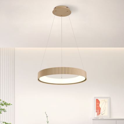Brilagi - LED regulējama lustra uz kabeļa FALCON MODERN LED/30W/230V 3000-6500K 40 cm bēša + tālvadība