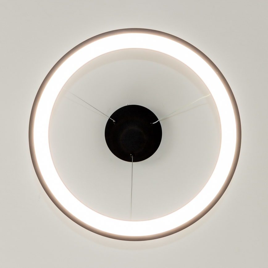 Brilagi - regulējama LED lustra uz troses FALCON SLIM LED/42W/230V 3000-6500K Ø 50 cm melna + tālvadība