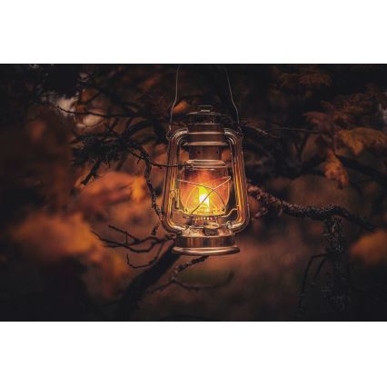 Brilagi - Eļļas lampa LANTERN 28 cm varš